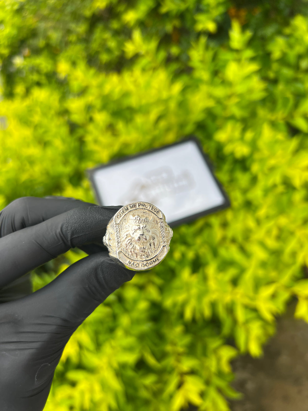 Dedeira Leão | Prata Mista