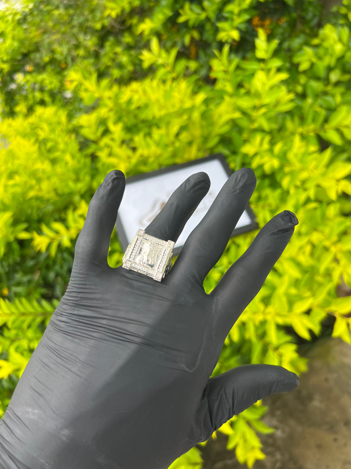 Dedeira Jesus | Prata Mista