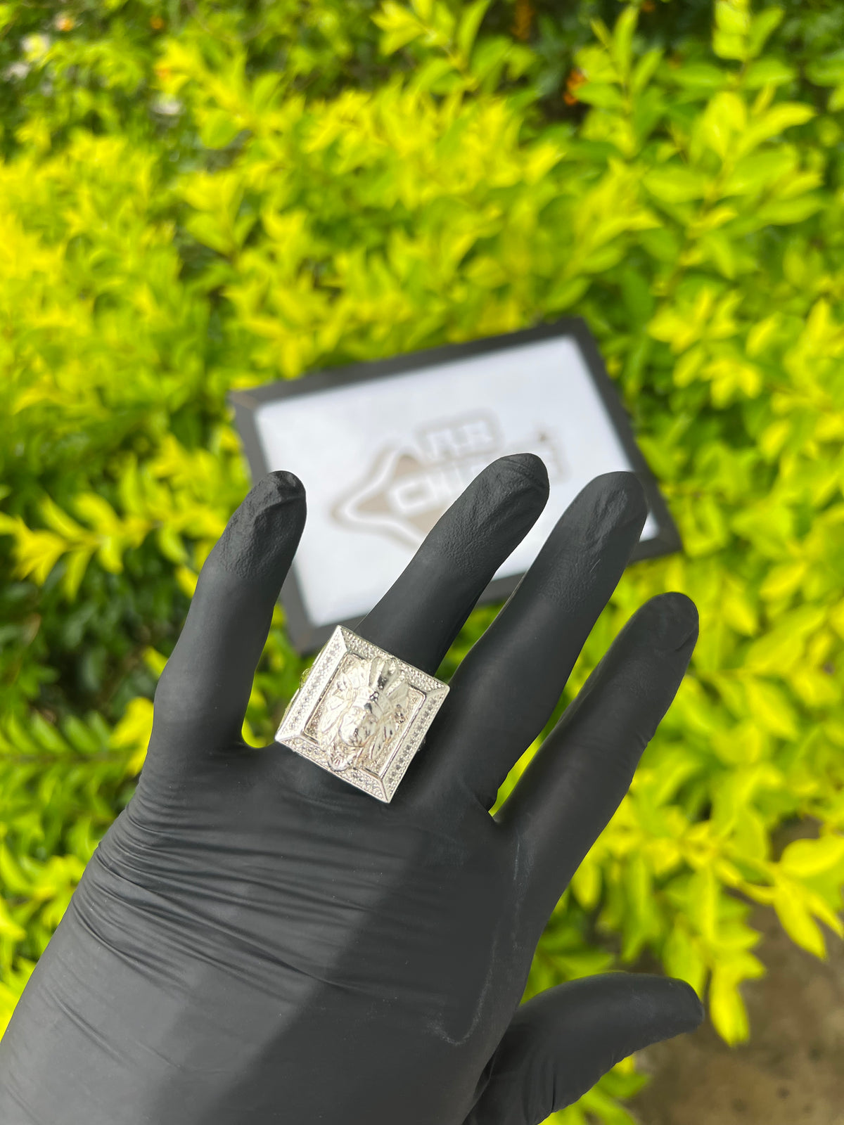 Dedeira Leão | Prata Mista