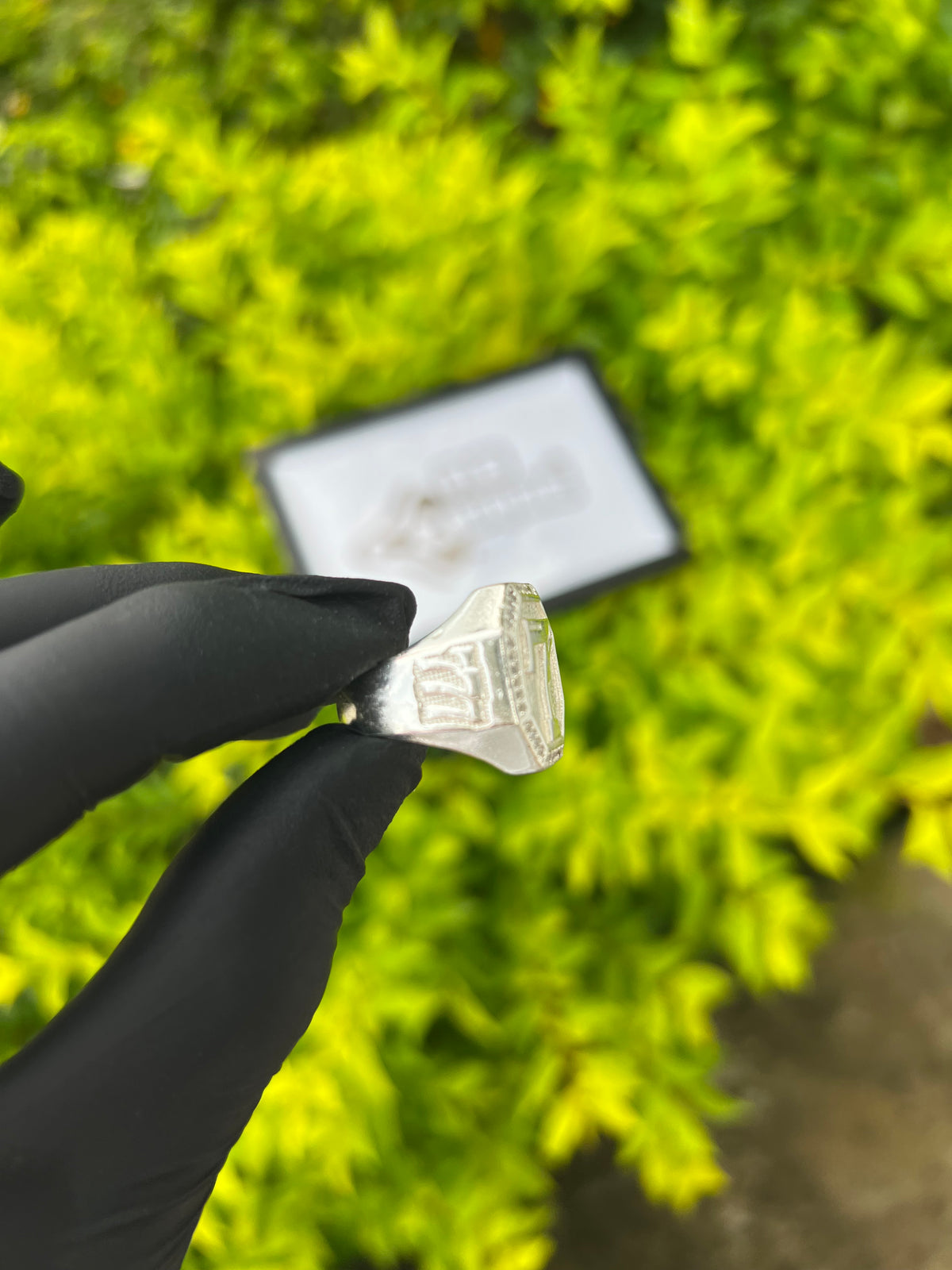 Dedeira 77 | Prata Mista