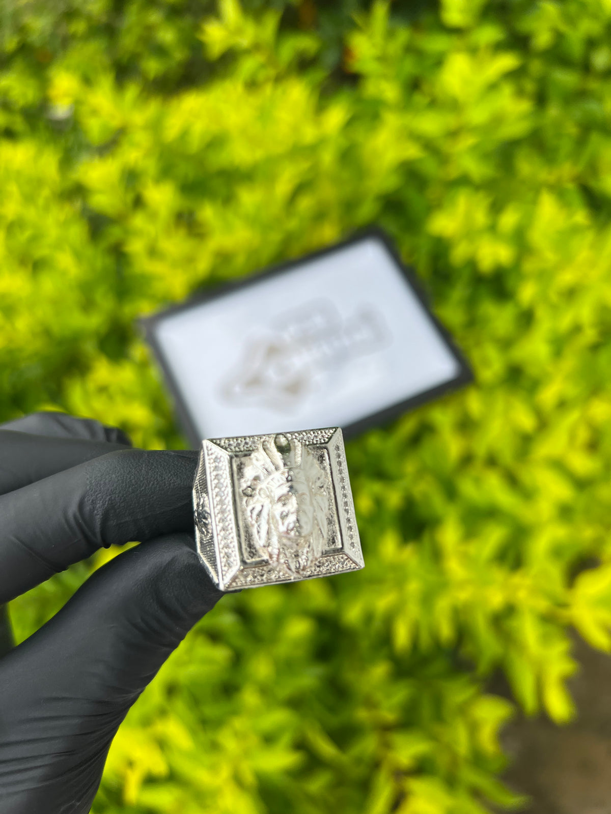 Dedeira Leão | Prata Mista