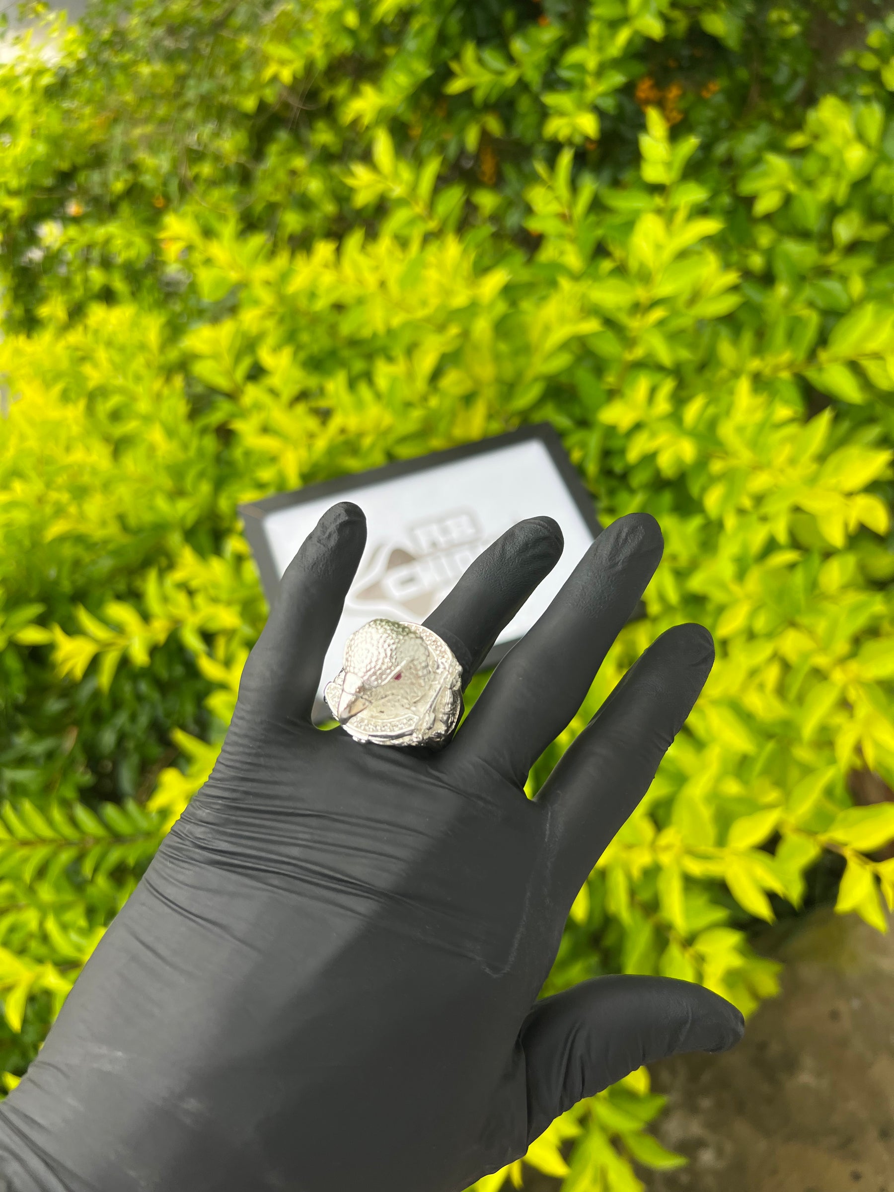 Dedeira Águia Cravejada | Prata Mista